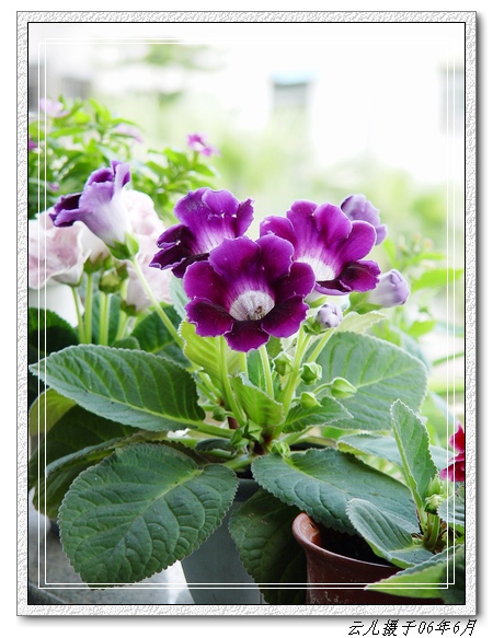 ����ͩ����