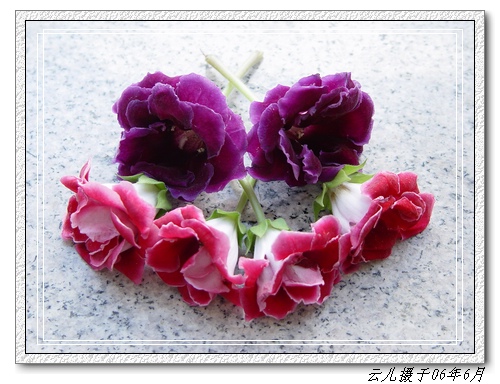 ����ͩ����