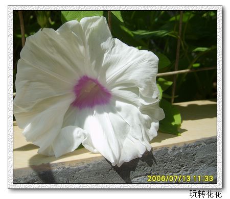 �Ҽҵ�¶̨��P5���£�