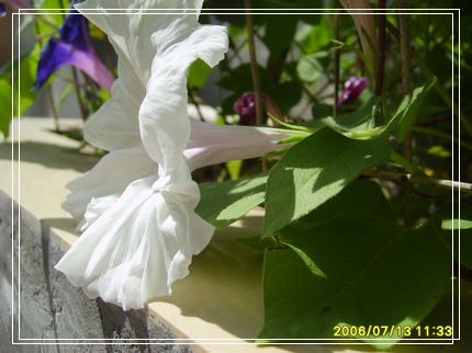 �Ҽҵ�¶̨��P5���£�