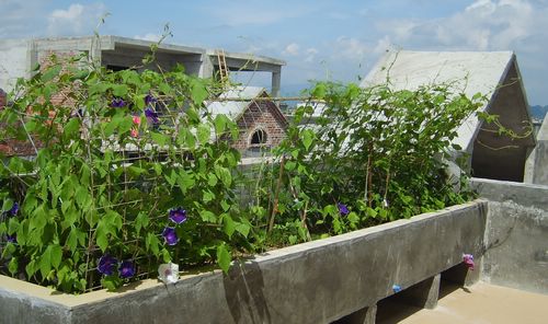 �Ҽҵ�¶̨��P5���£�