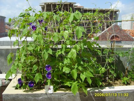 �Ҽҵ�¶̨��P5���£�