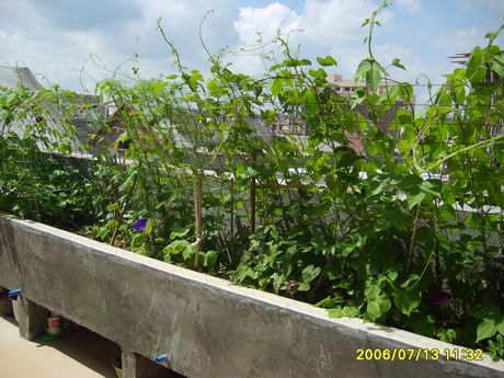 �Ҽҵ�¶̨��P5���£�