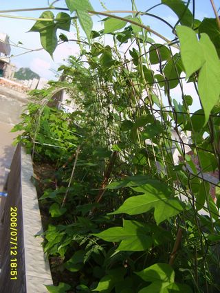 �Ҽҵ�¶̨��P5���£�