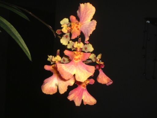 ���~����