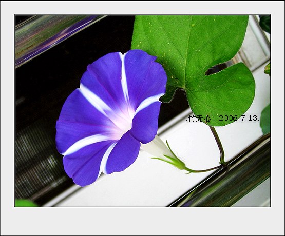 ���ȵ���������..P7,�ɿ���ţ~