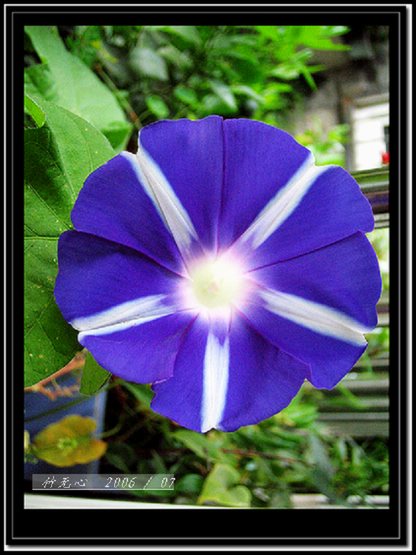 ���ȵ���������..P7,�ɿ���ţ~