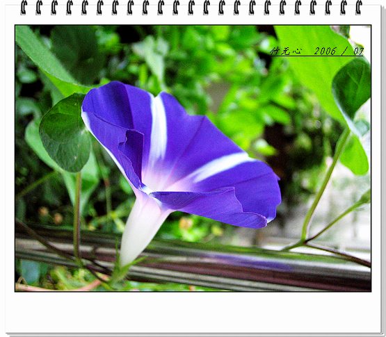 ���ȵ���������..P7,�ɿ���ţ~