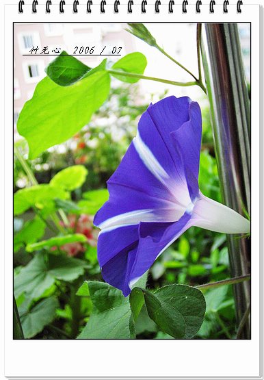 ���ȵ���������..P7,�ɿ���ţ~