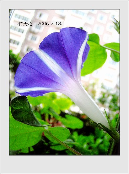 ���ȵ���������..P7,�ɿ���ţ~