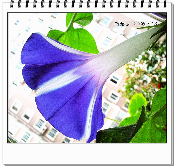 ���ȵ���������..P7,�ɿ���ţ~