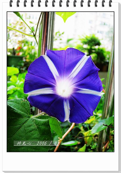 ���ȵ���������..P7,�ɿ���ţ~