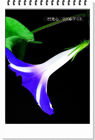 ���ȵ���������..P7,�ɿ���ţ~