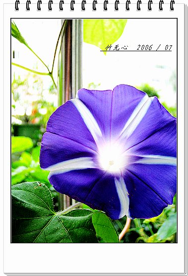 ���ȵ���������..P7,�ɿ���ţ~