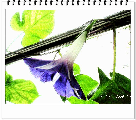 ���ȵ���������..P7,�ɿ���ţ~