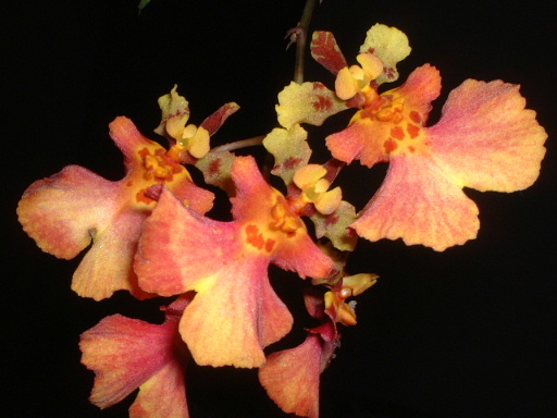 ���~����