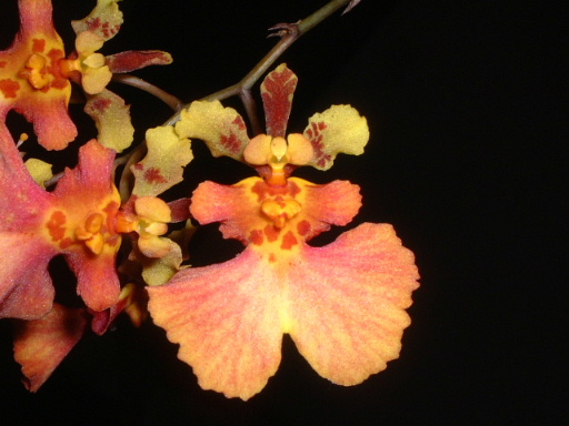 ���~����