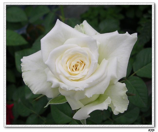 �Ҽһ��ڿ������¼�