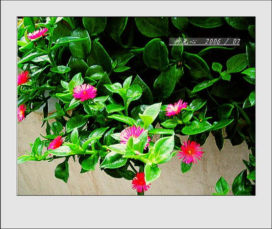 ���ȵ���������..P9,�����װ�~