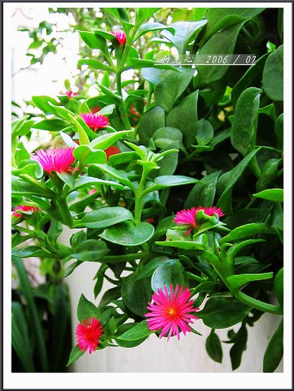 ���ȵ���������..P9,�����װ�~