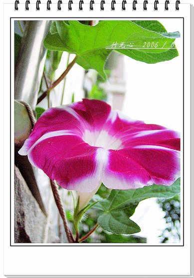 ���ȵ���������..P9,�����װ�~