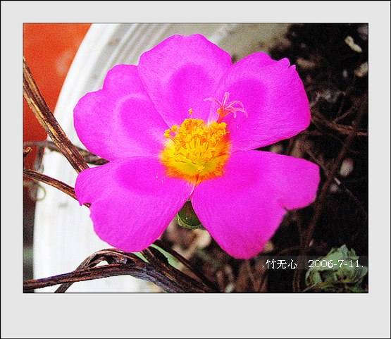 ���ȵ���������..P9,�����װ�~