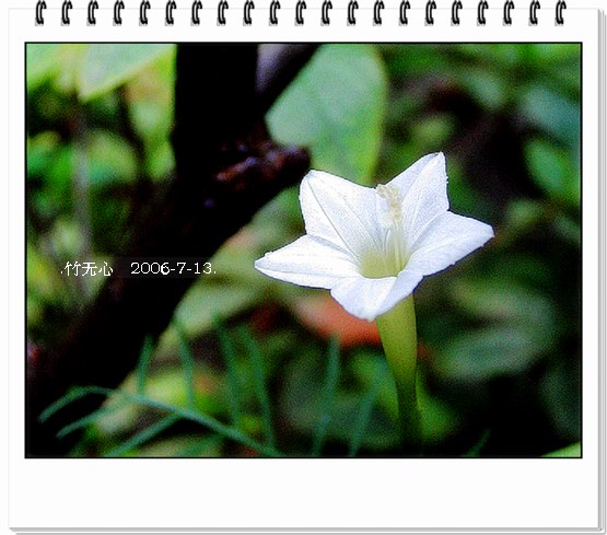 ���ȵ���������..P9,�����װ�~