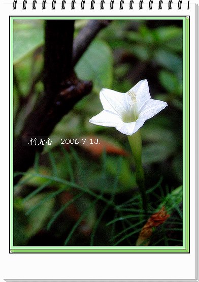 ���ȵ���������..P9,�����װ�~