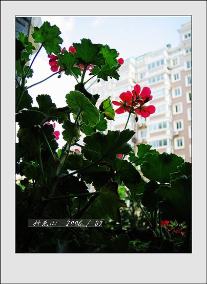 ���ȵ���������..P9,�����װ�~