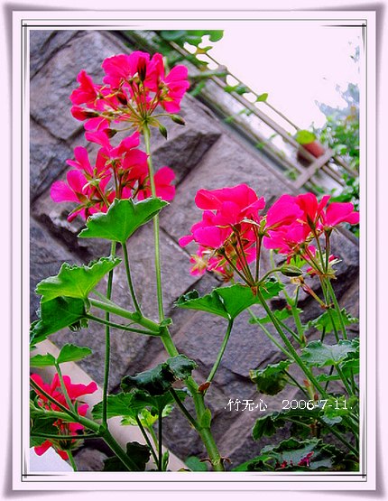 ���ȵ���������..P9,�����װ�~