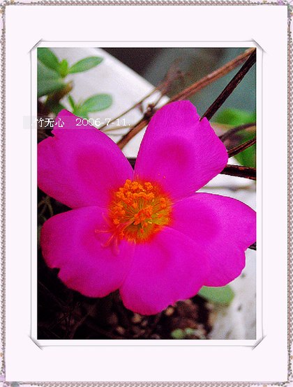 ���ȵ���������..P9,�����װ�~