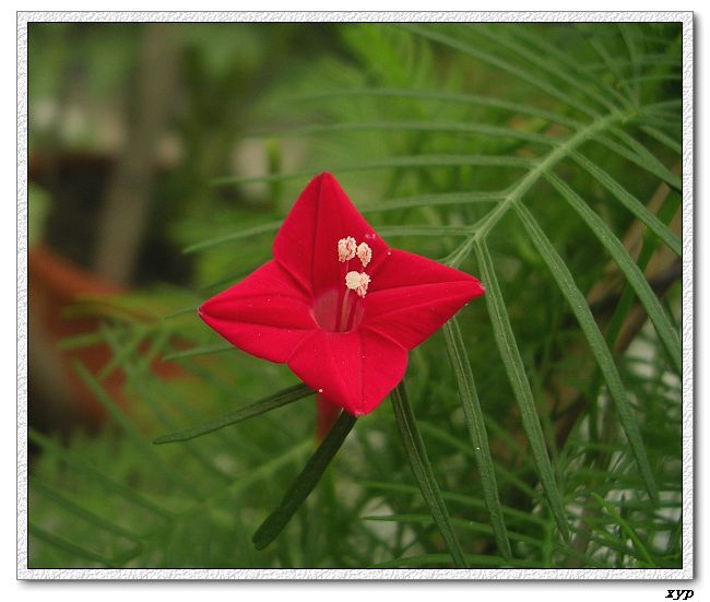 ���ܵ��¼�(��ɫ���ܿ�����)