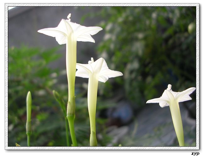 ���ܵ��¼�(��ɫ���ܿ�����)