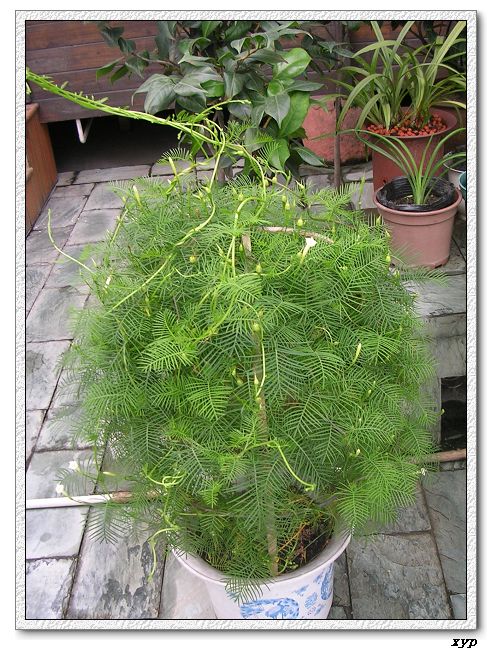 ���ܵ��¼�(��ɫ���ܿ�����)