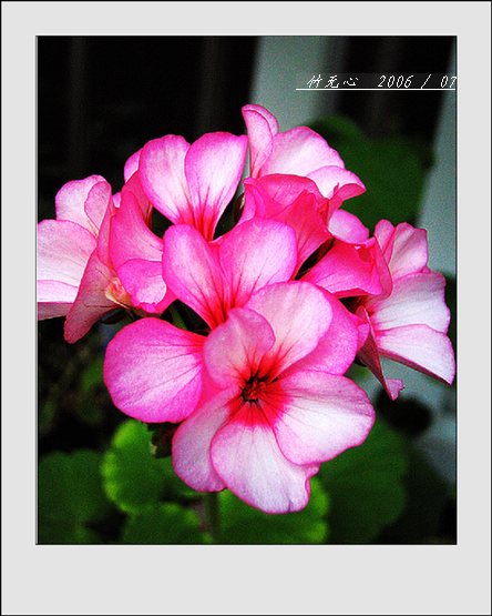 ���ȵ���������..P9,�����װ�~