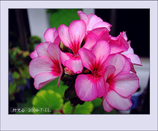 ���ȵ���������..P9,�����װ�~