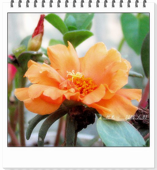 ���ȵ���������..P9,�����װ�~