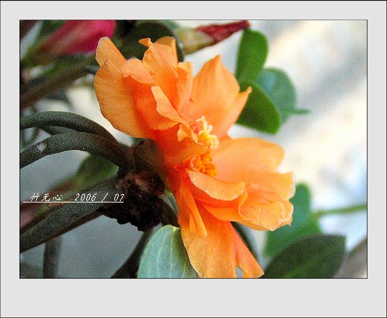 ���ȵ���������..P9,�����װ�~