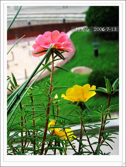 ���ȵ���������..P9,�����װ�~