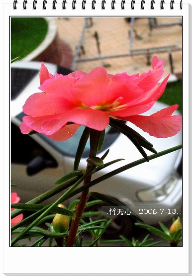 ���ȵ���������..P9,�����װ�~