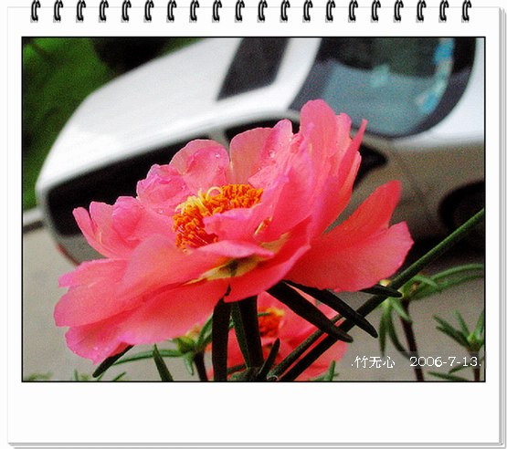 ���ȵ���������..P9,�����װ�~