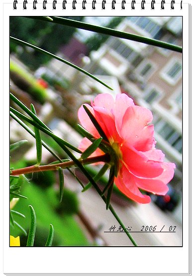 ���ȵ���������..P9,�����װ�~