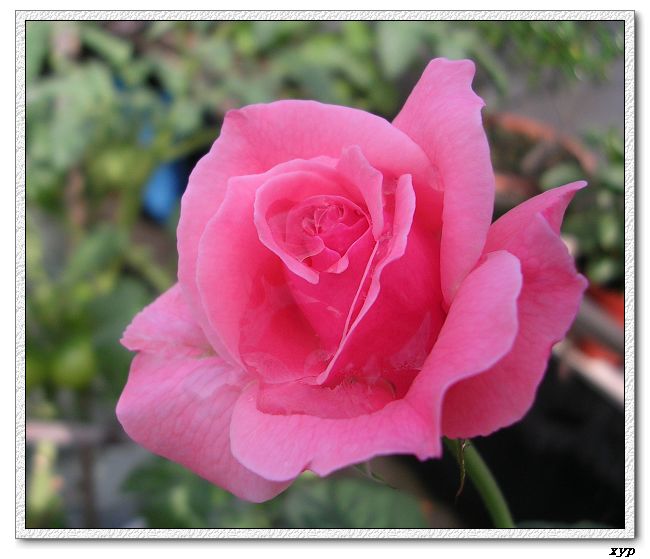�Ҽһ��ڿ������¼�