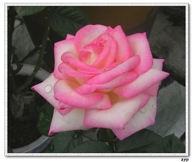 �Ҽһ��ڿ������¼�