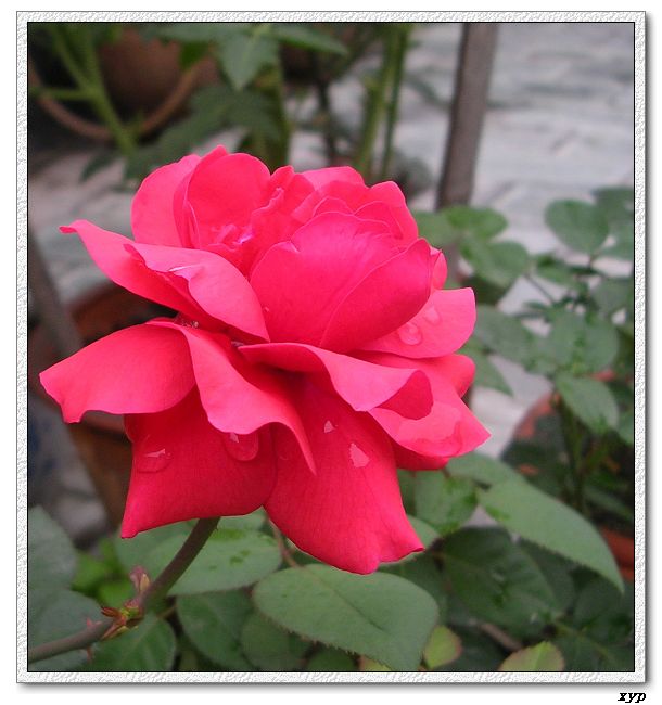�Ҽһ��ڿ������¼�