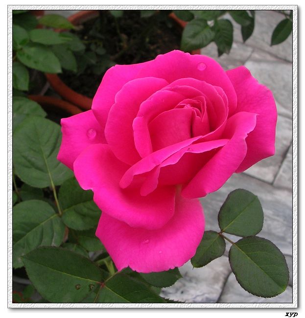 �Ҽһ��ڿ������¼�