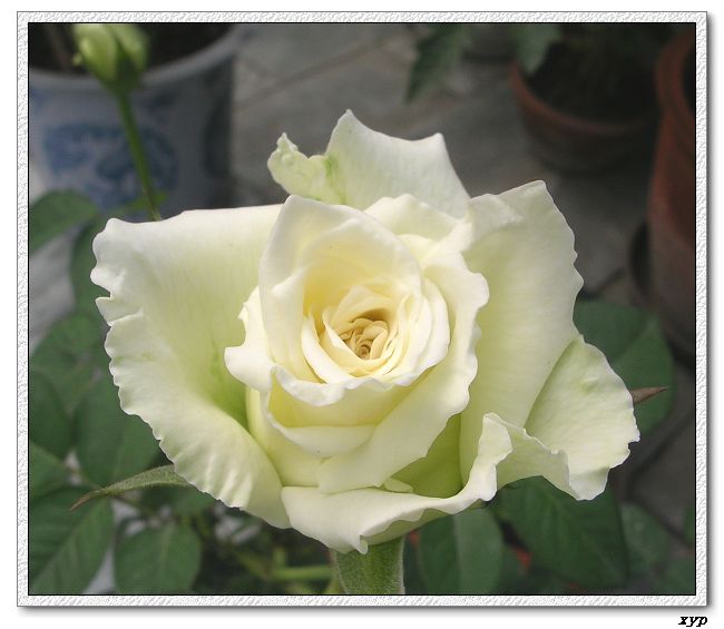 �Ҽһ��ڿ������¼�
