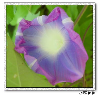 �Ҽҵ�¶̨��P5.P6���£�