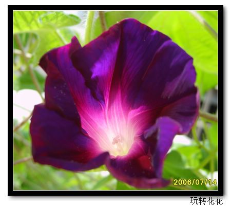 �Ҽҵ�¶̨��P5.P6���£�