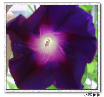 �Ҽҵ�¶̨��P5.P6���£�